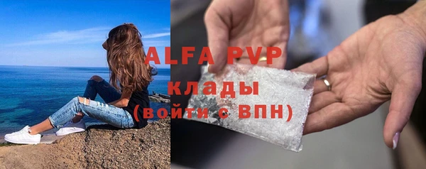 мяу мяу мука Баксан