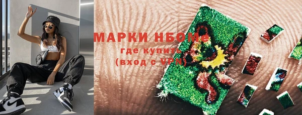 сатива Балахна