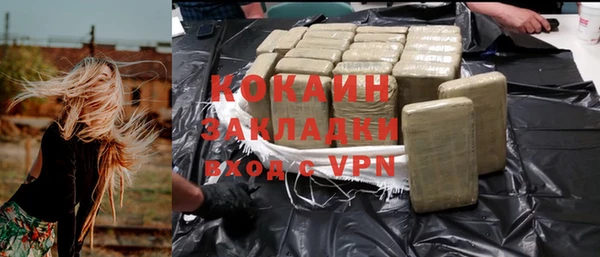 сатива Балахна